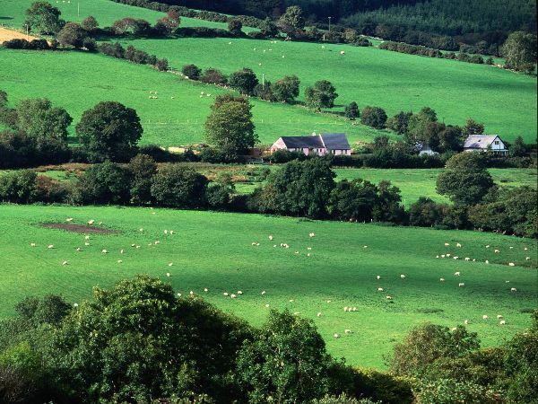 Foto Irlanda